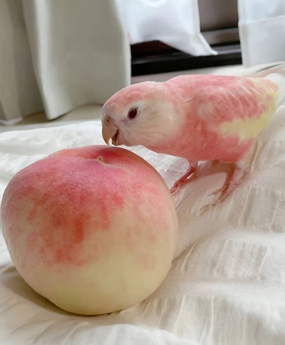 Itsamazingvi's tweet photo. Cute 🥰 https://t.co/kwDhG1QScC
