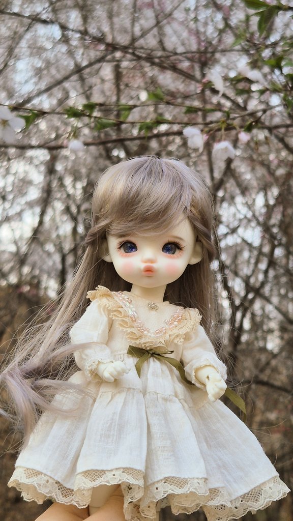 라즈 (@rabus_bera) on Twitter photo 