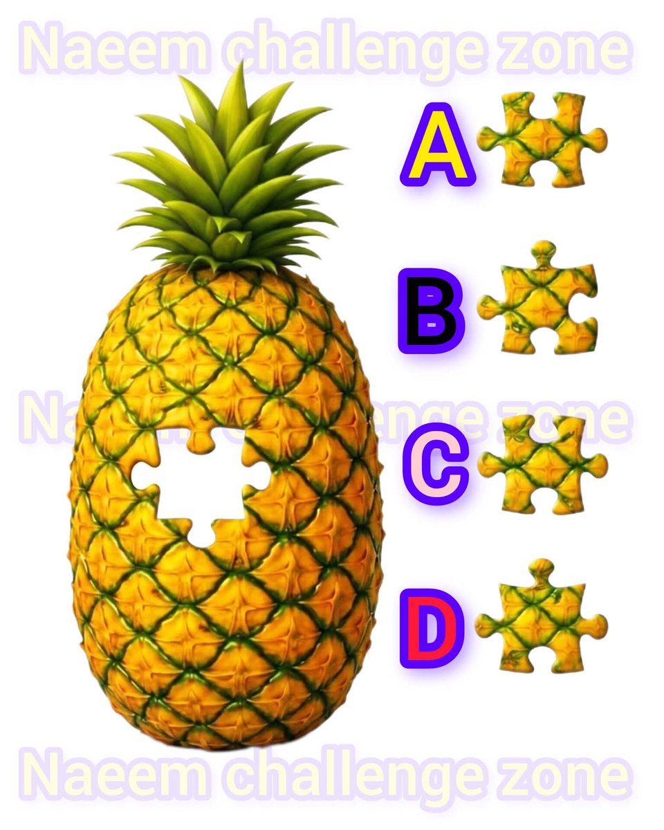 MalikAlyza's tweet image. Find the missing pieces 🧩✅👈 #photo #brainteaser #brainhealth