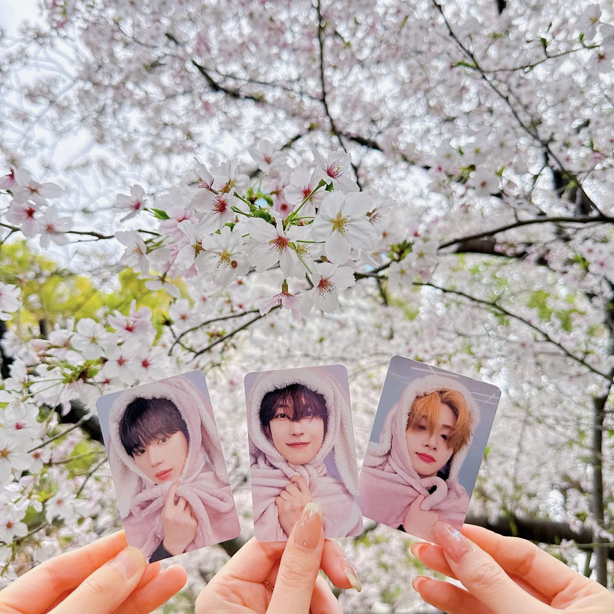 𖤐⸝⸝⸝⋆ tweet media