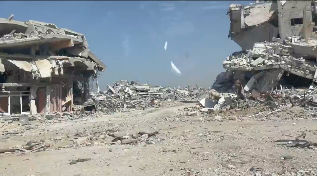 Mikey benoit tweet media