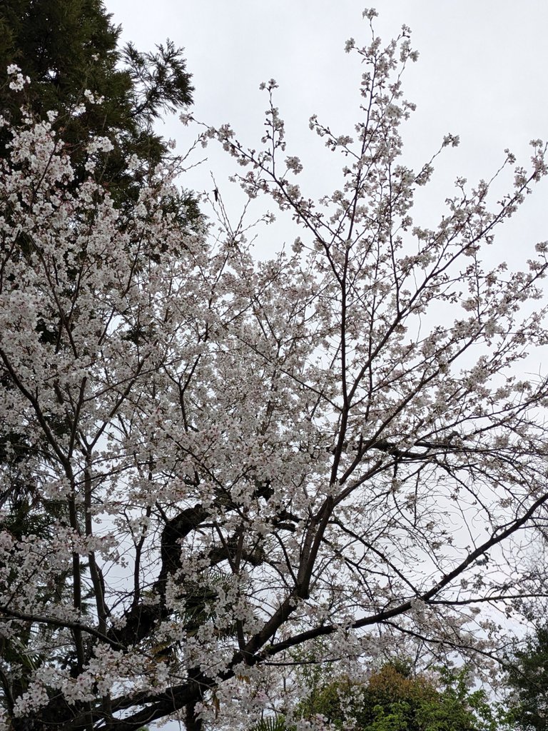 愛・QOS🚬 tweet media