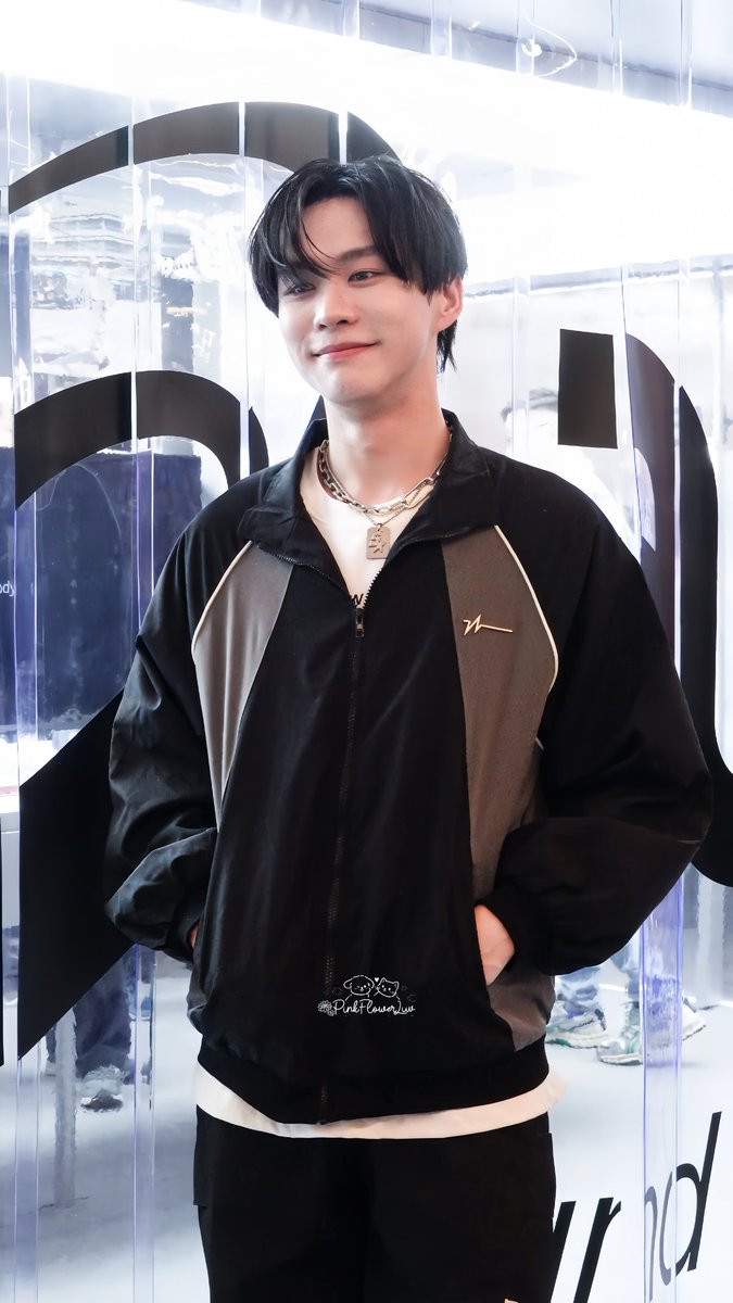 ✨️🐶😸🍀 tweet media