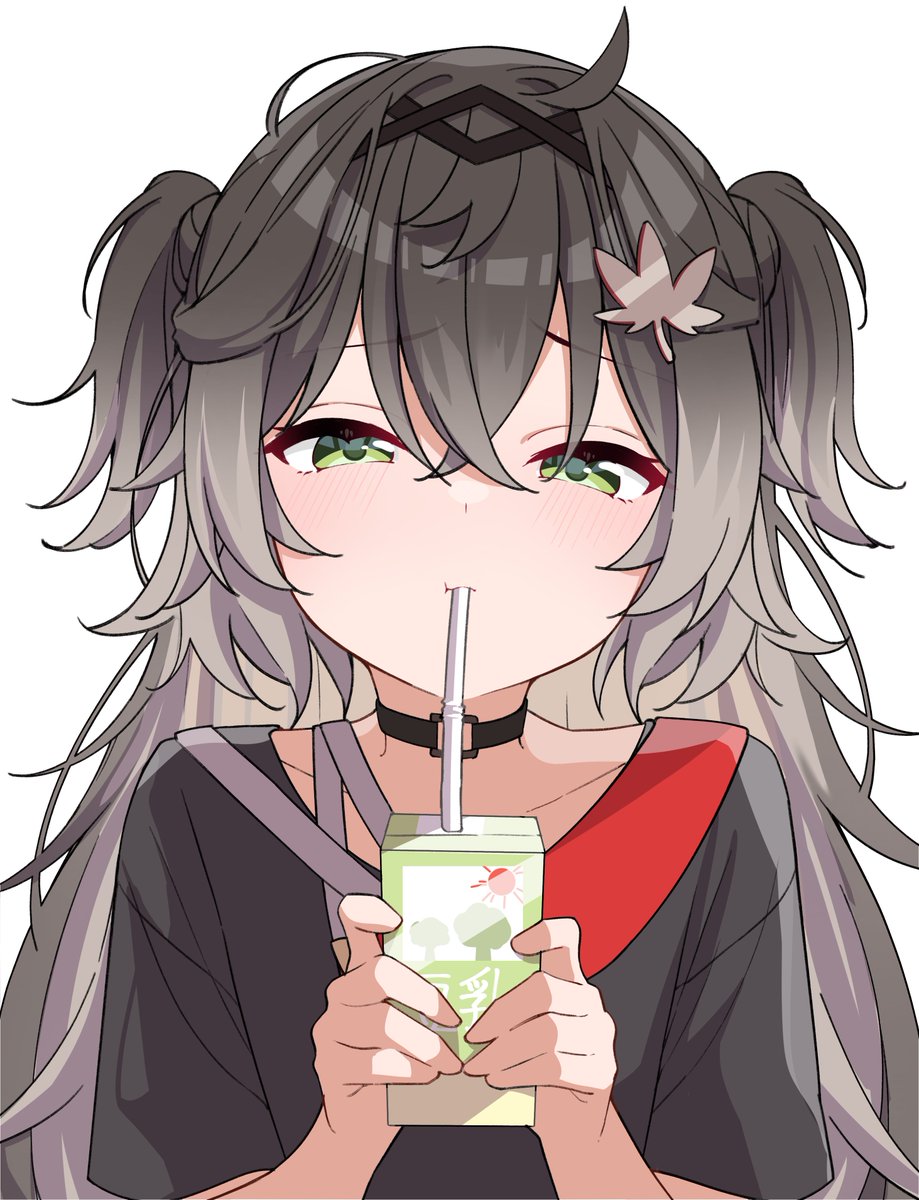 くまぱれっと tweet media