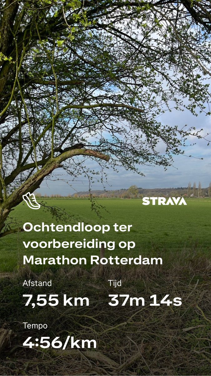 Harm Wevers tweet media