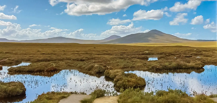 Children of Fire - Health Care is Political tweet media