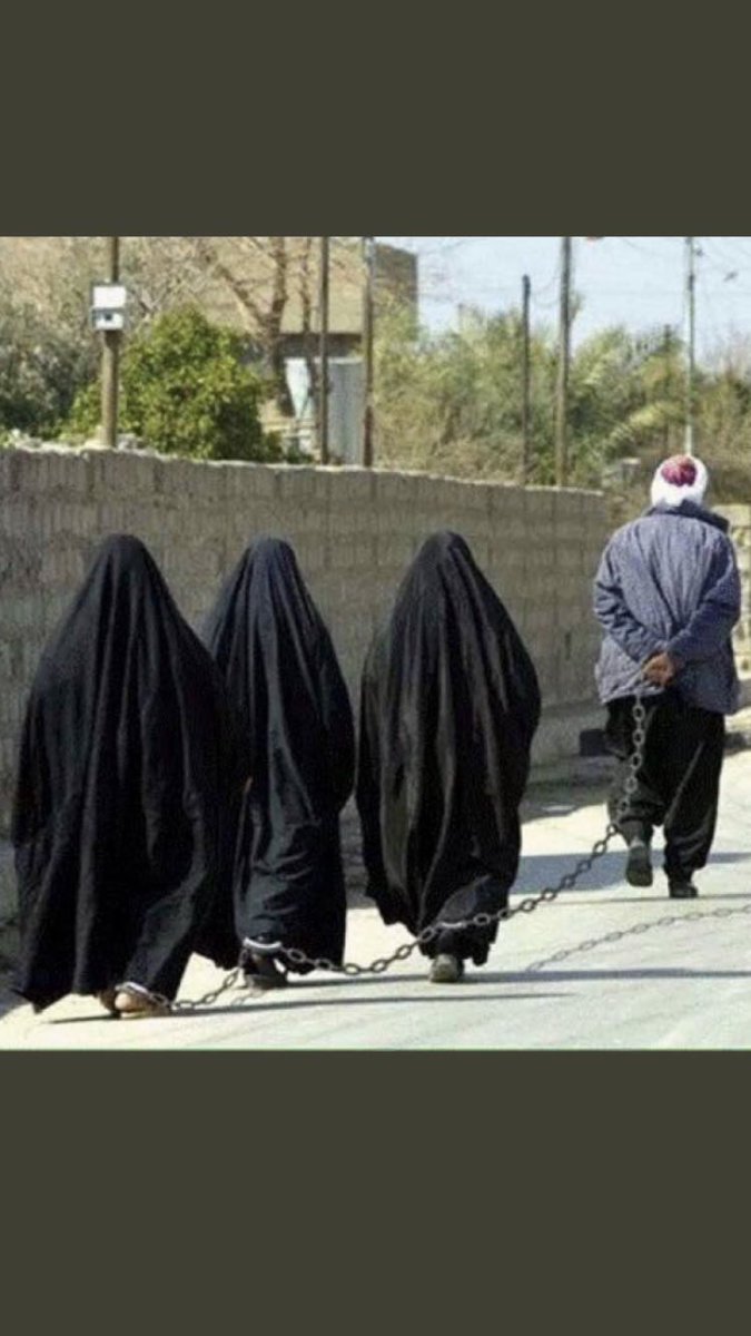 Sonia jerbi fourati tweet media