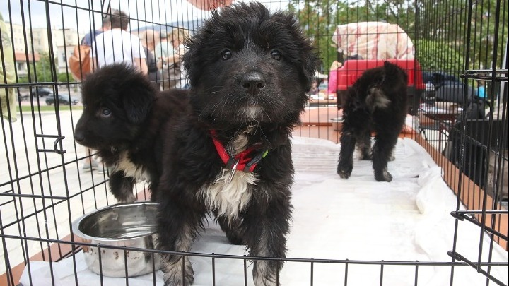 ΑΠΕ-ΜΠΕ tweet media