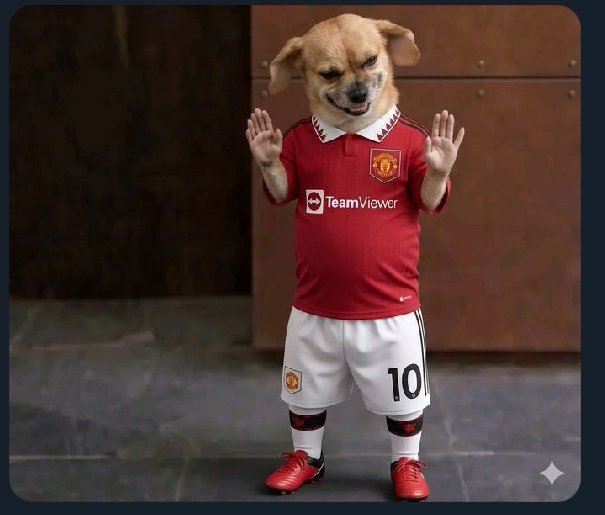 Engr Fabulous tweet media