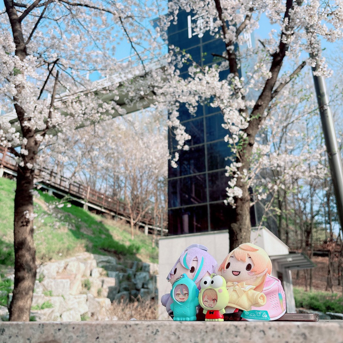 도토리💜💛 tweet media