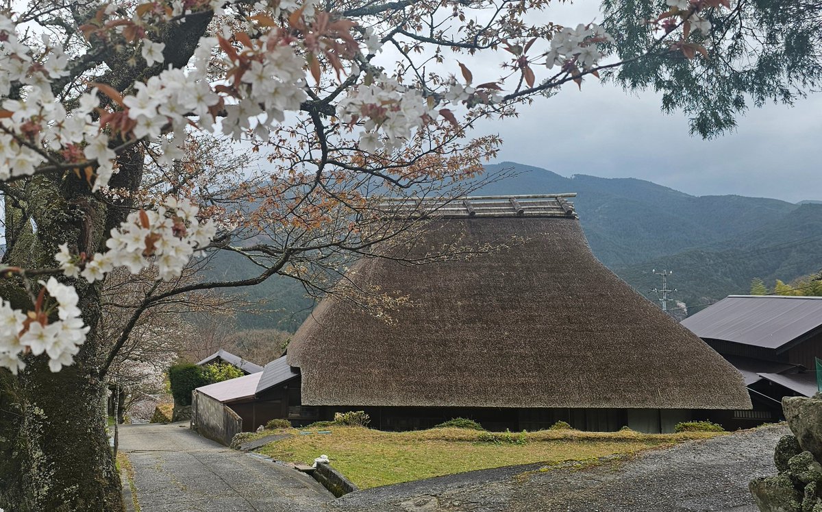 旅人YAMA@日本分割7周目 tweet media