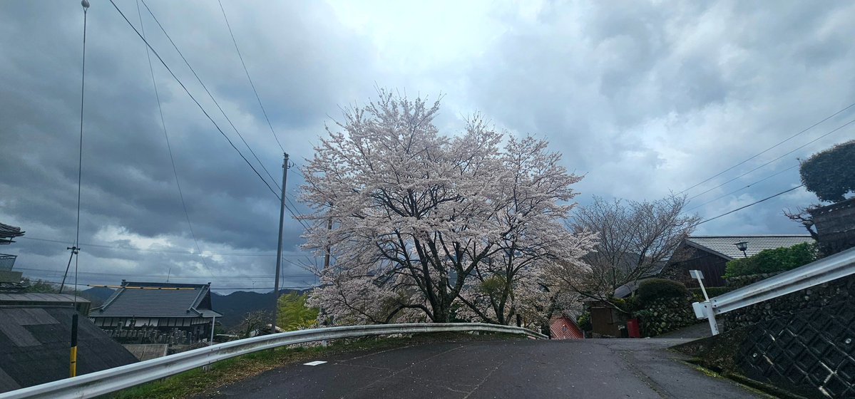 旅人YAMA@日本分割7周目 tweet media