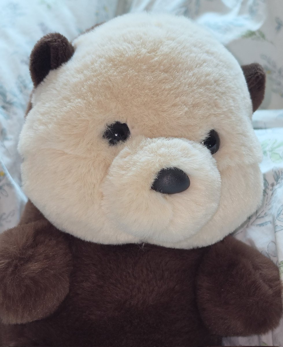 โญ๏ธ๐ฆ tweet media