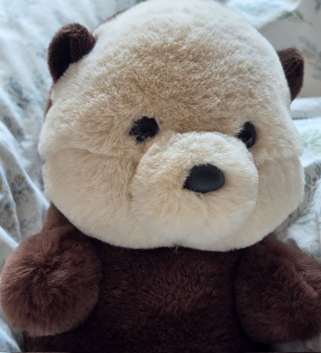 โญ๏ธ๐ฆ tweet media