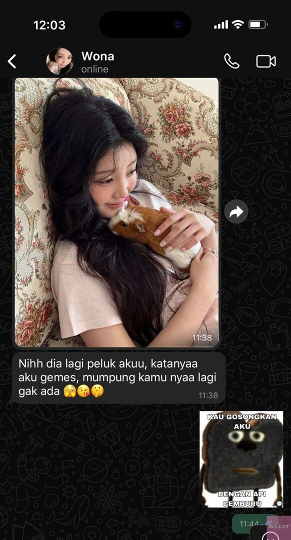 GLLIT INA MENFESS 𓆩♡𓆪 tweet media