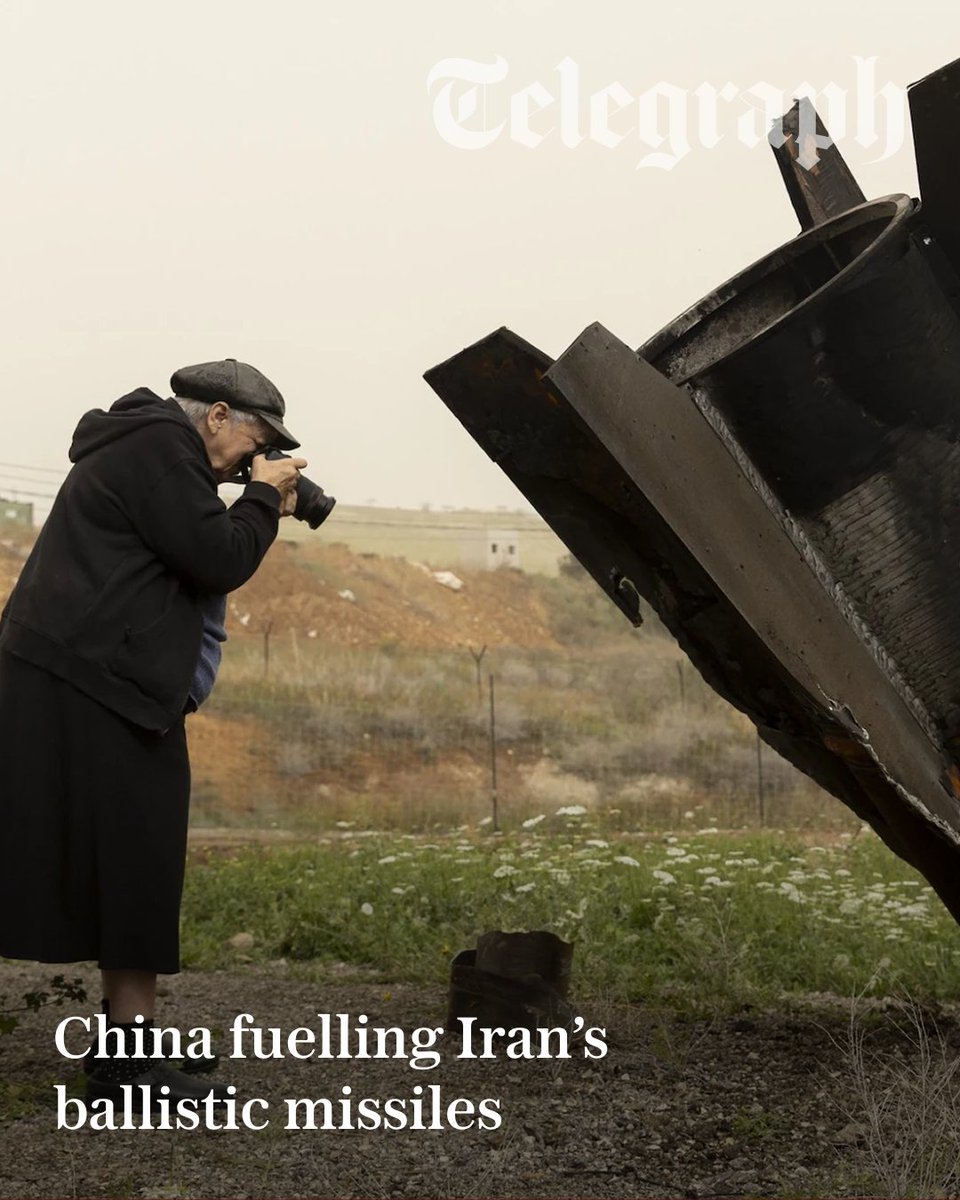 The Telegraph tweet media