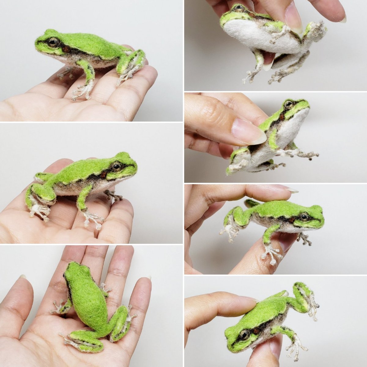 かわもと こう tweet media