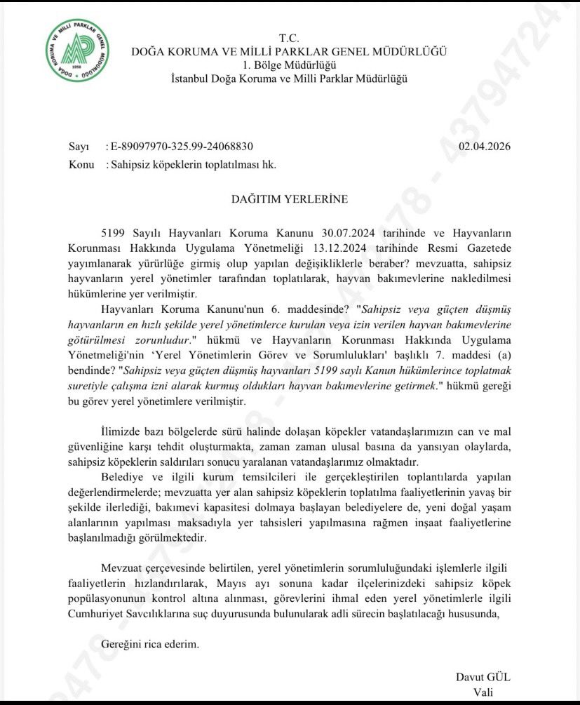 Sonunda İstanbul Valiliği kesin ve kararlı biçimde harekete geçerek talimat verdi. 
Tüm belediyeler mayıs ayının sonuna kadar bütün sokak köpeklerini toplayacaklar. Toplamayanlar hakkında suç duyurusunda bulunulacak. 
Haydi kurtarın artık bu milleti sokak köpekleri belasından.