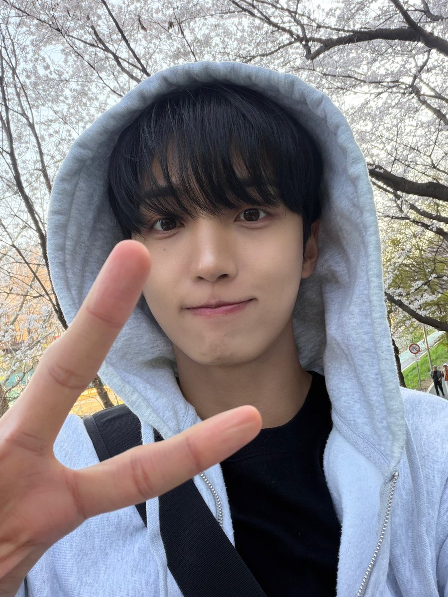 선율 (선예인) tweet media