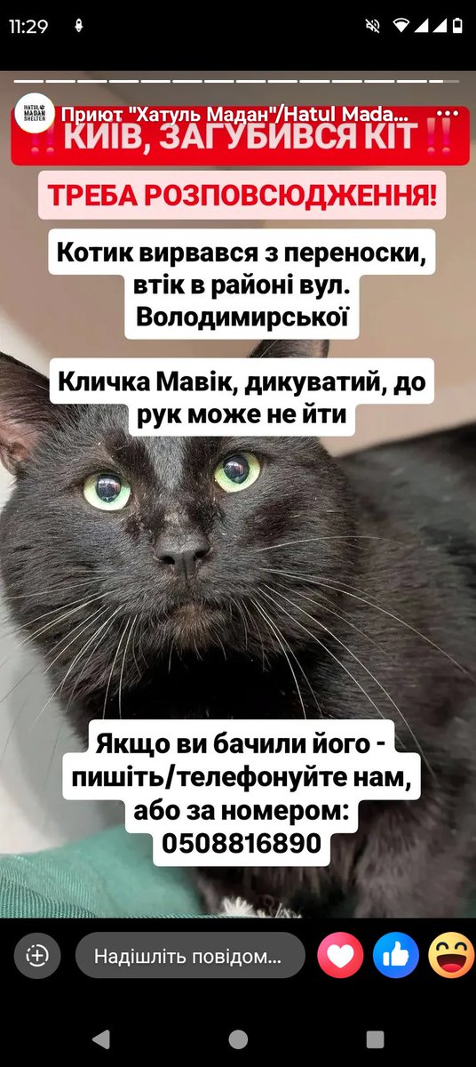 гарпія з васюківки tweet media