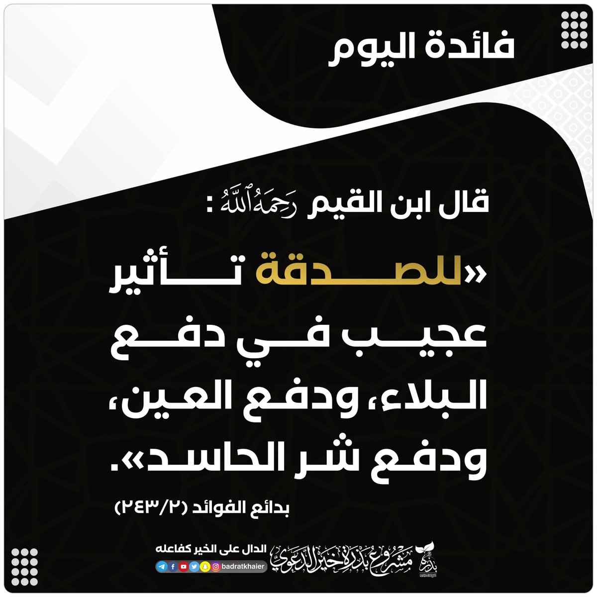 بذرة خير tweet media