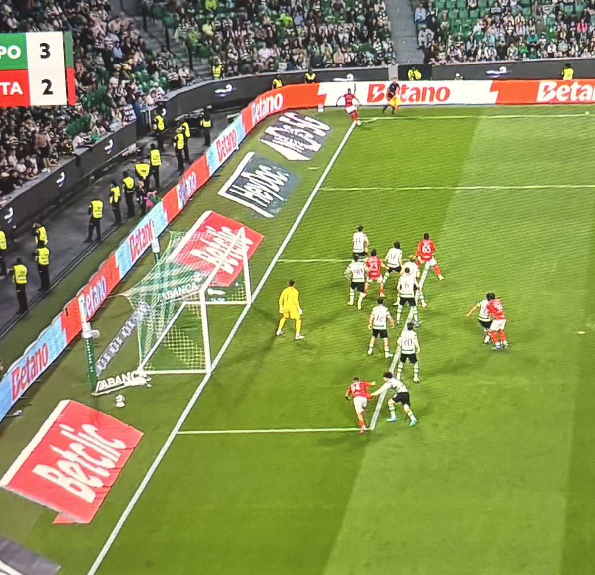 Nogues 𝕏 ® tweet media