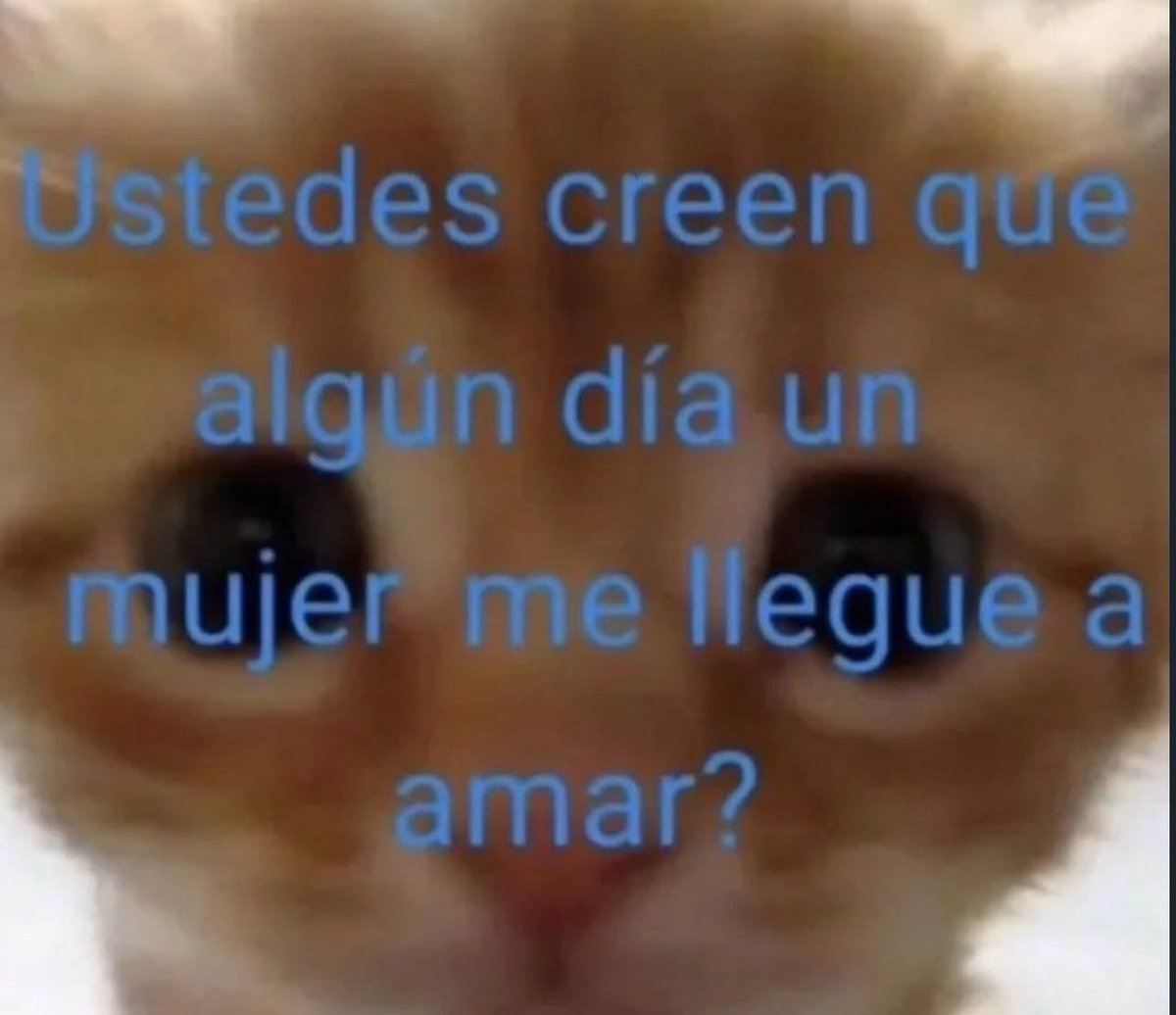skereunpesado's tweet photo. https://t.co/TV8AzW0bVr