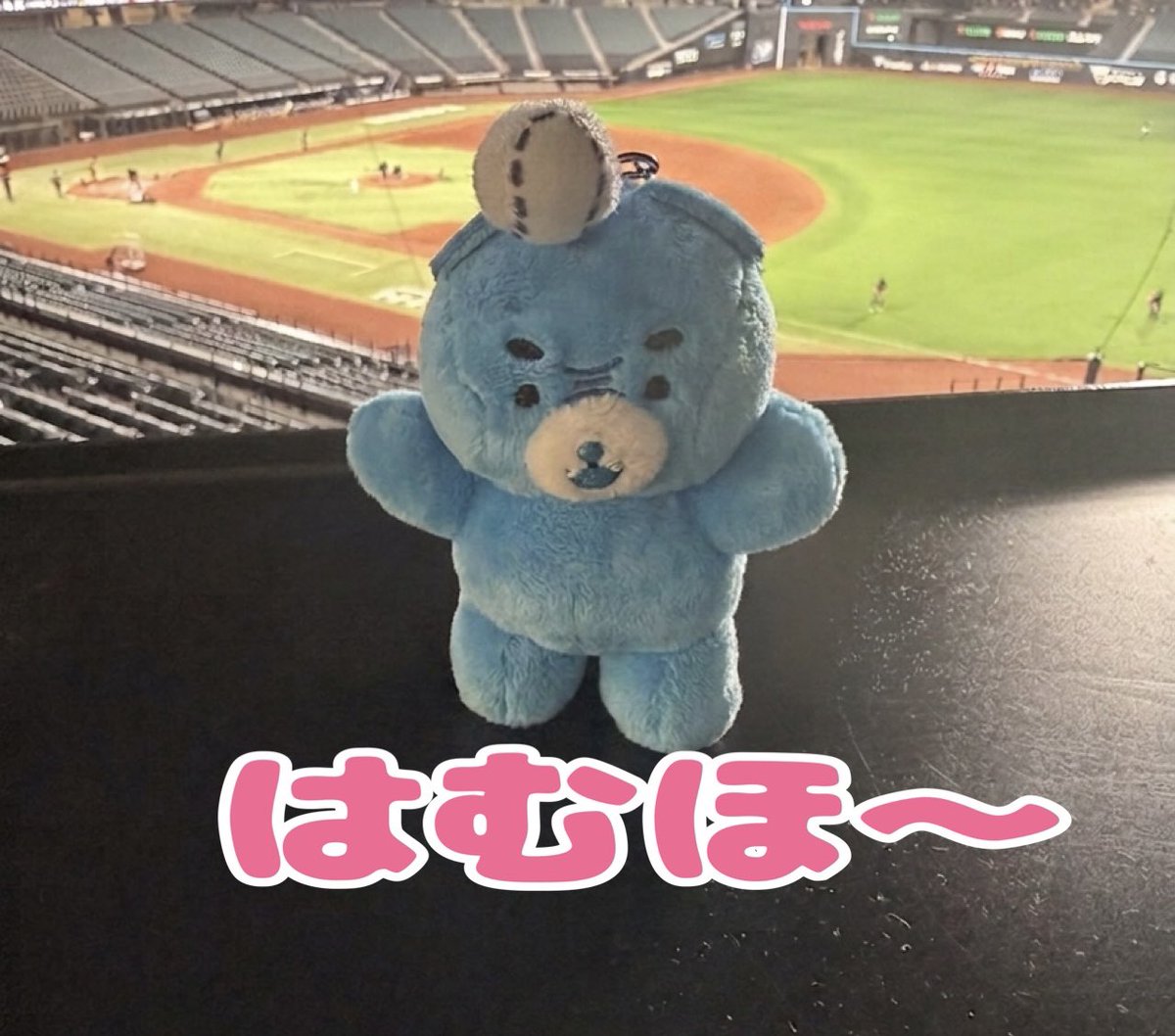 かっつん🤪 tweet media