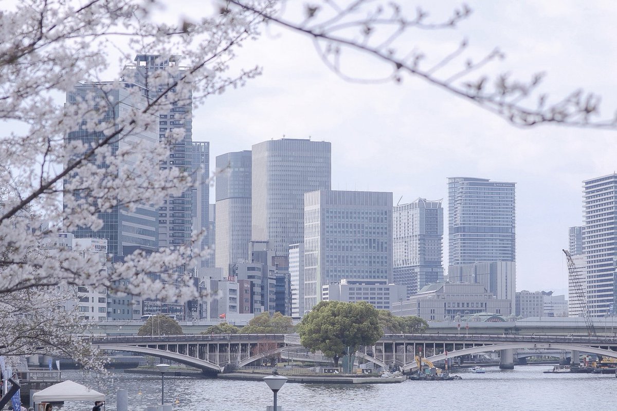 トトト tweet media