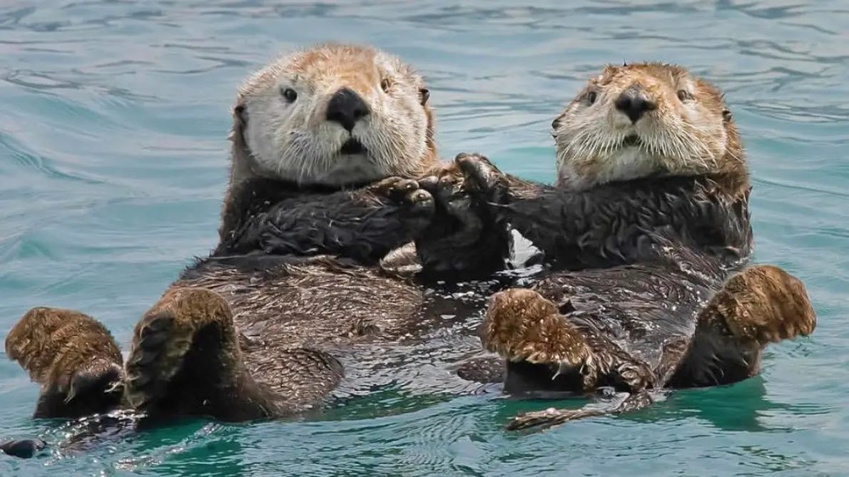 No Context İzmir tweet media