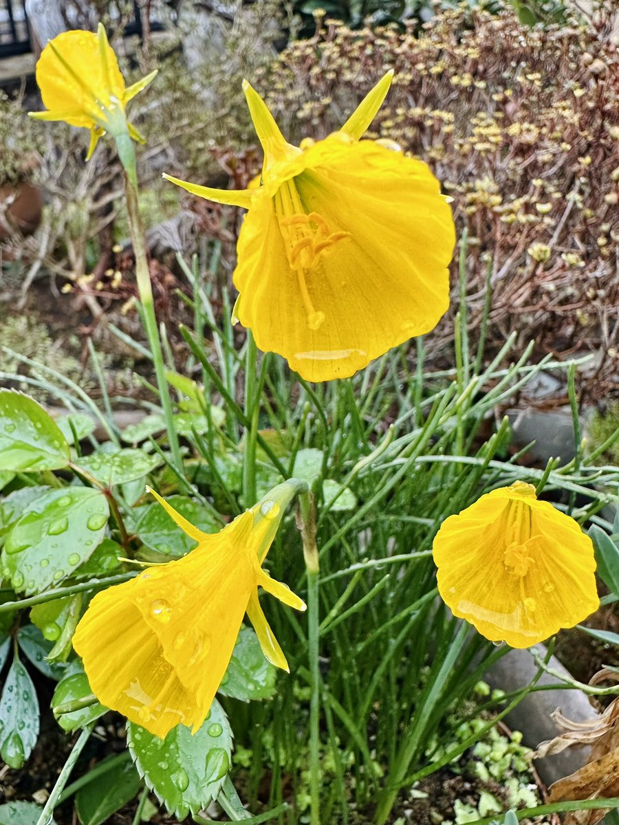 関根浩 tweet media