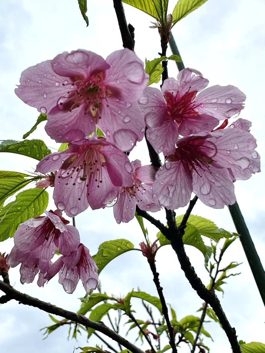 関根浩 tweet media