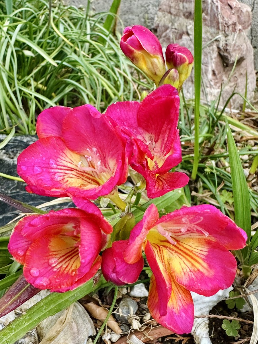 関根浩 tweet media