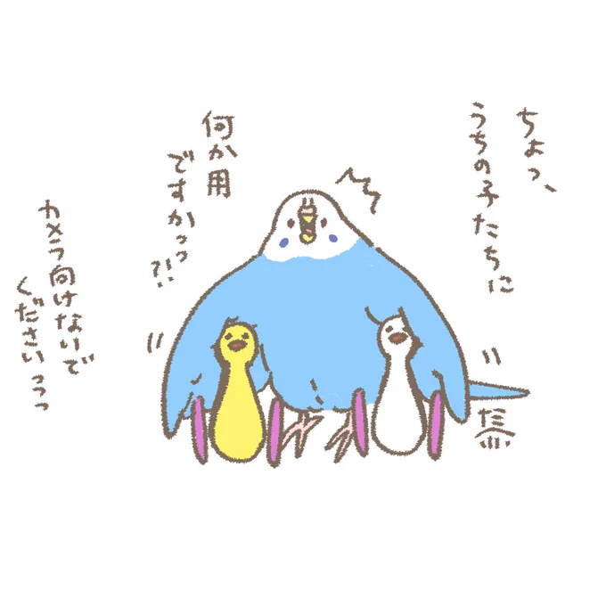 おはようございます☀️
4月6日(月)の朝です。

月曜日ぼちぼちいきましょー 