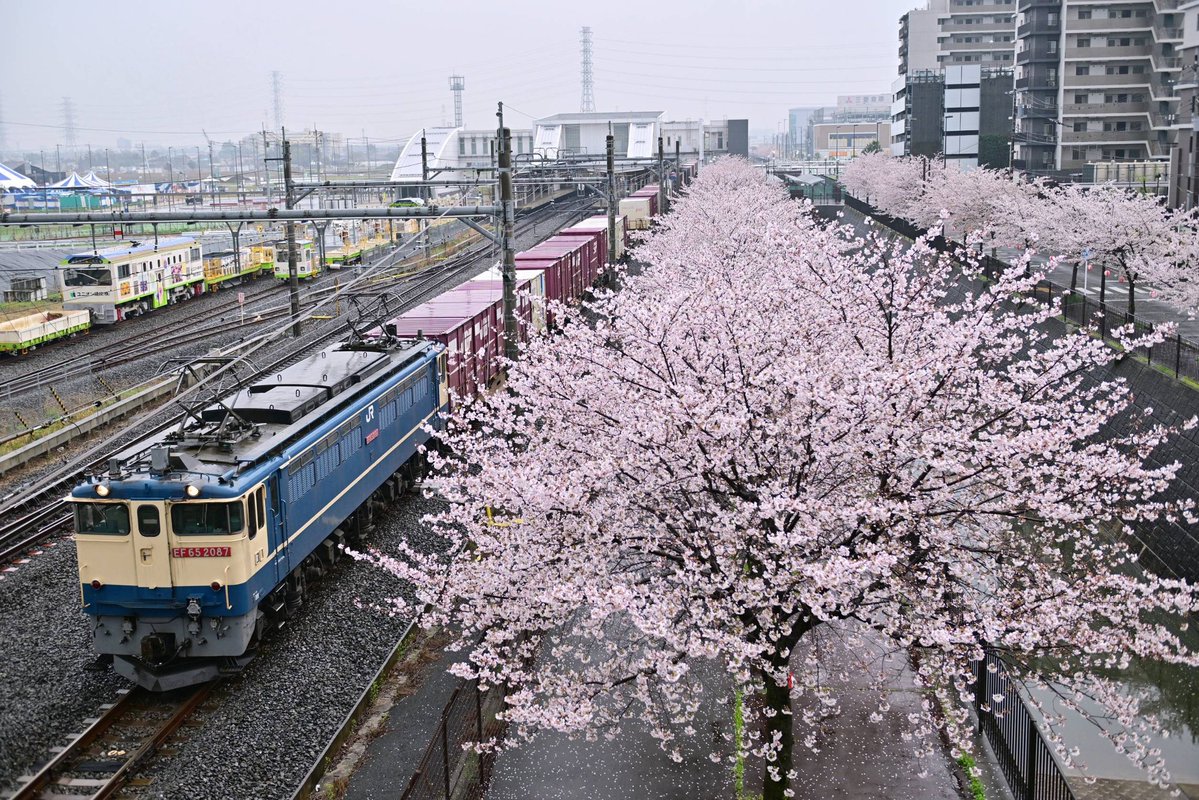 cassiopeia_ef510 tweet media