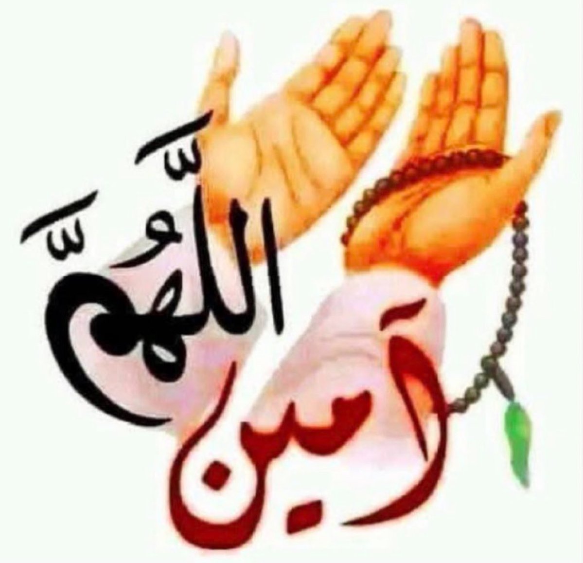 (( : أبو عبدالله / 🇸🇦🇸🇦 tweet media