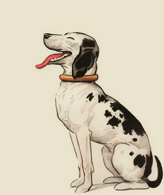 ヘム / 「小型割安株」&「増配」&「暴落時買い向かい」投資 @pygmy_hem tweet media