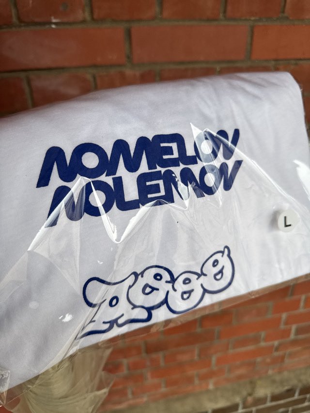 Dr_Chronos_1th's tweet photo. NOMELON NOLEMONとAoooのﾀﾞﾌﾞﾙﾈｰﾑTｼｬﾂを作成しました！ みきさんとつみきさんが作成した後に同じ道具を使って😭️
#NOMELONNOLEMON #Aooo https://t.co/oTZPRyP6HN