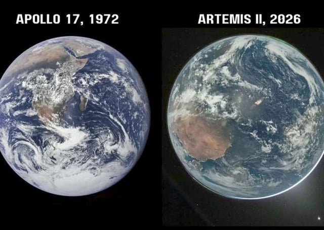 Trump Fact News 🇺🇸 tweet media