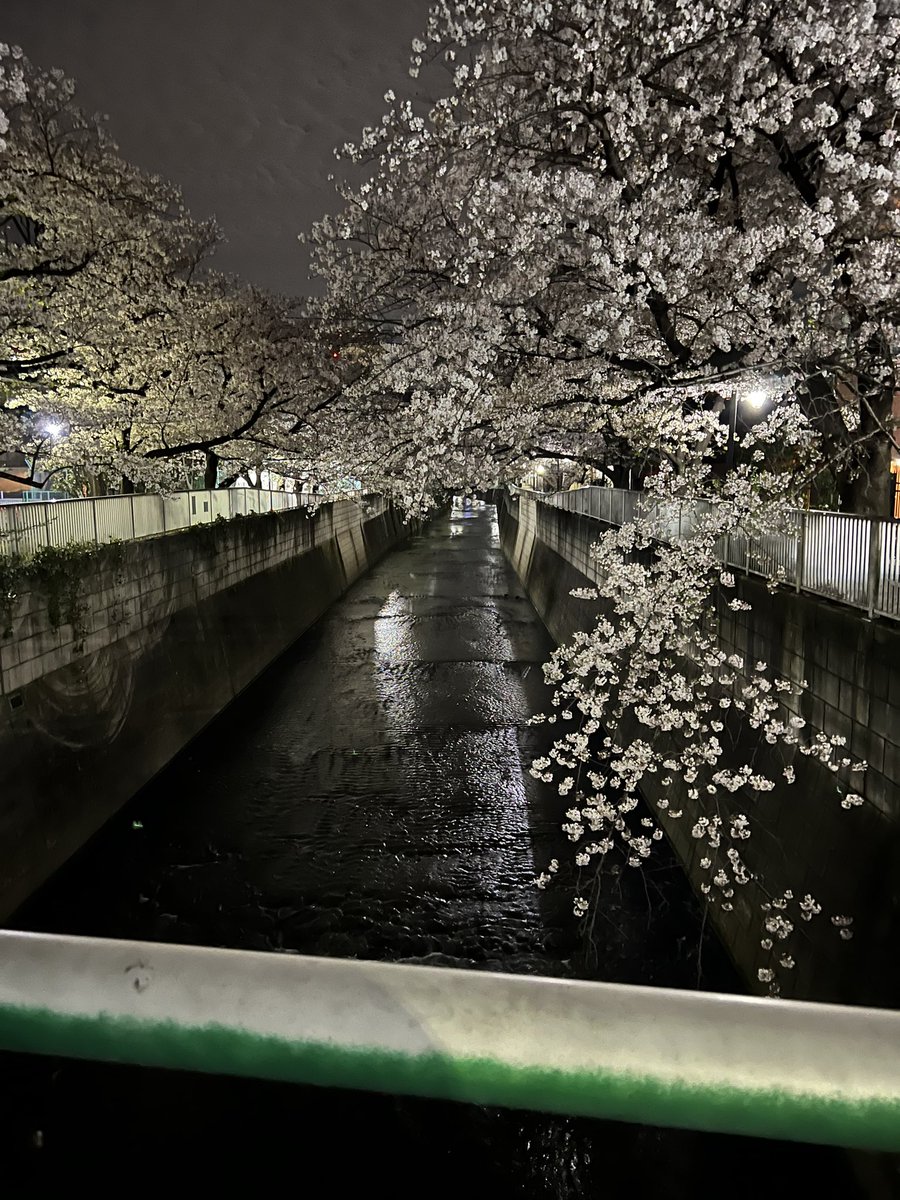 一条流星 tweet media