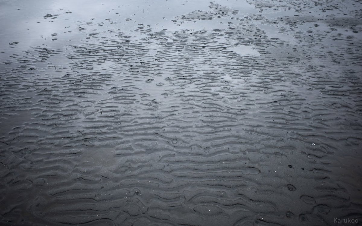 カルクウ tweet media