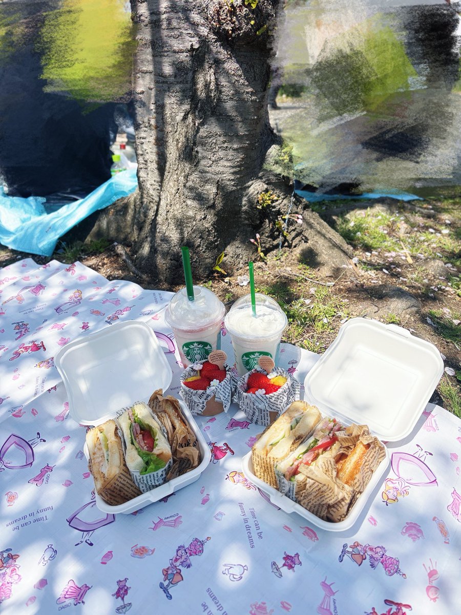 どあちゃ tweet media