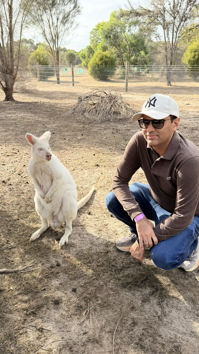 Sab Maya Hai tweet media