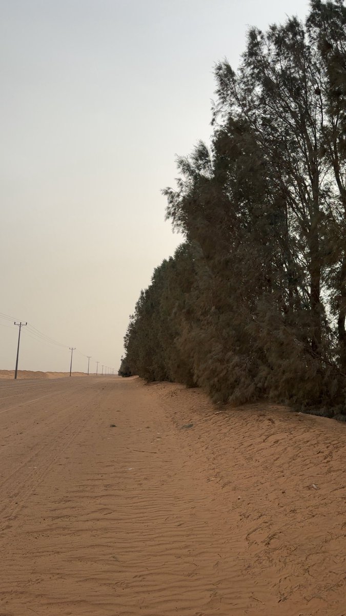 معادن الناس تظهرها . . . مواقفها
سلم على اللي يطول الوقت ماصدا .