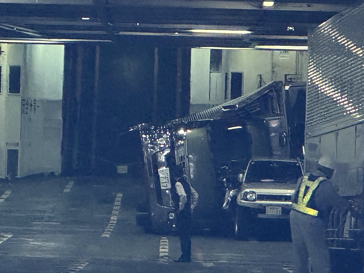 サーモン吉田 tweet media