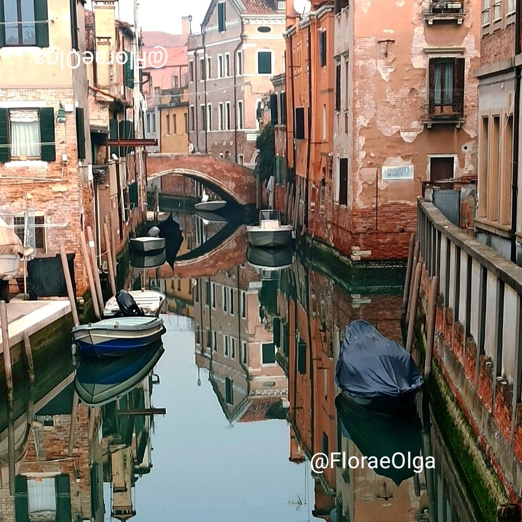 FloraeOlga's tweet image. "Bella la vita a #Venezia"
... specchi senza tempo