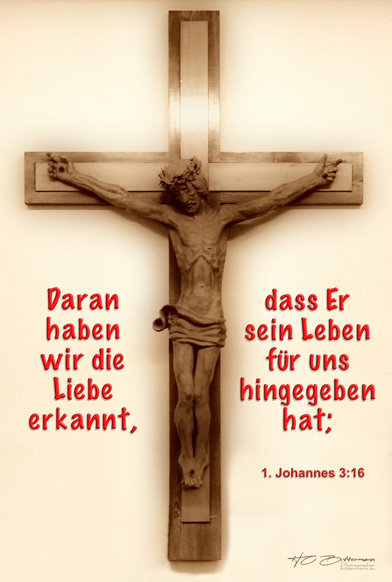 HC Bittermann 🕊️ tweet media