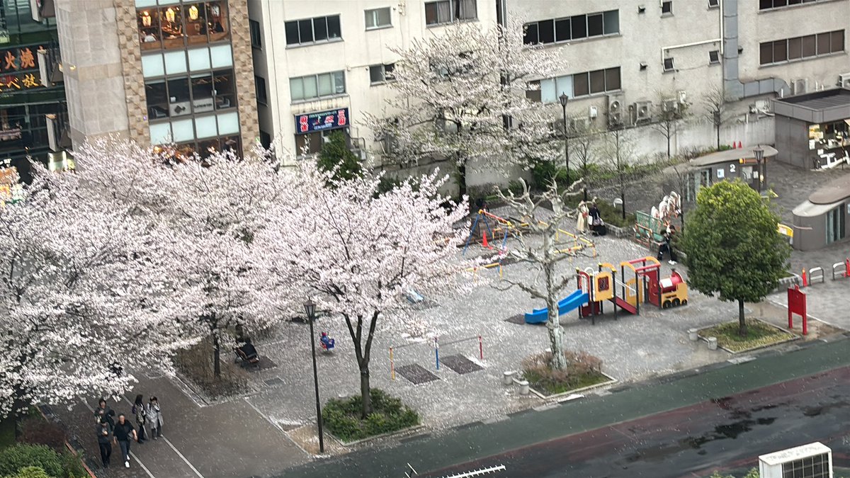 けぴごるごん tweet media