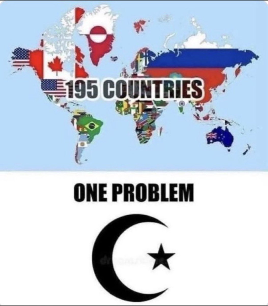 Fred 🇫🇷 & Lucie 🇫🇷 tweet media