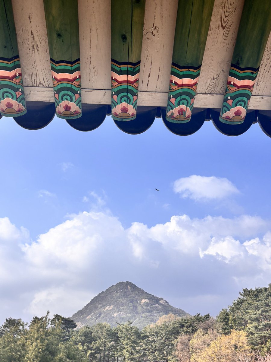 퇴근귀신선지(큘 영상천재) tweet media